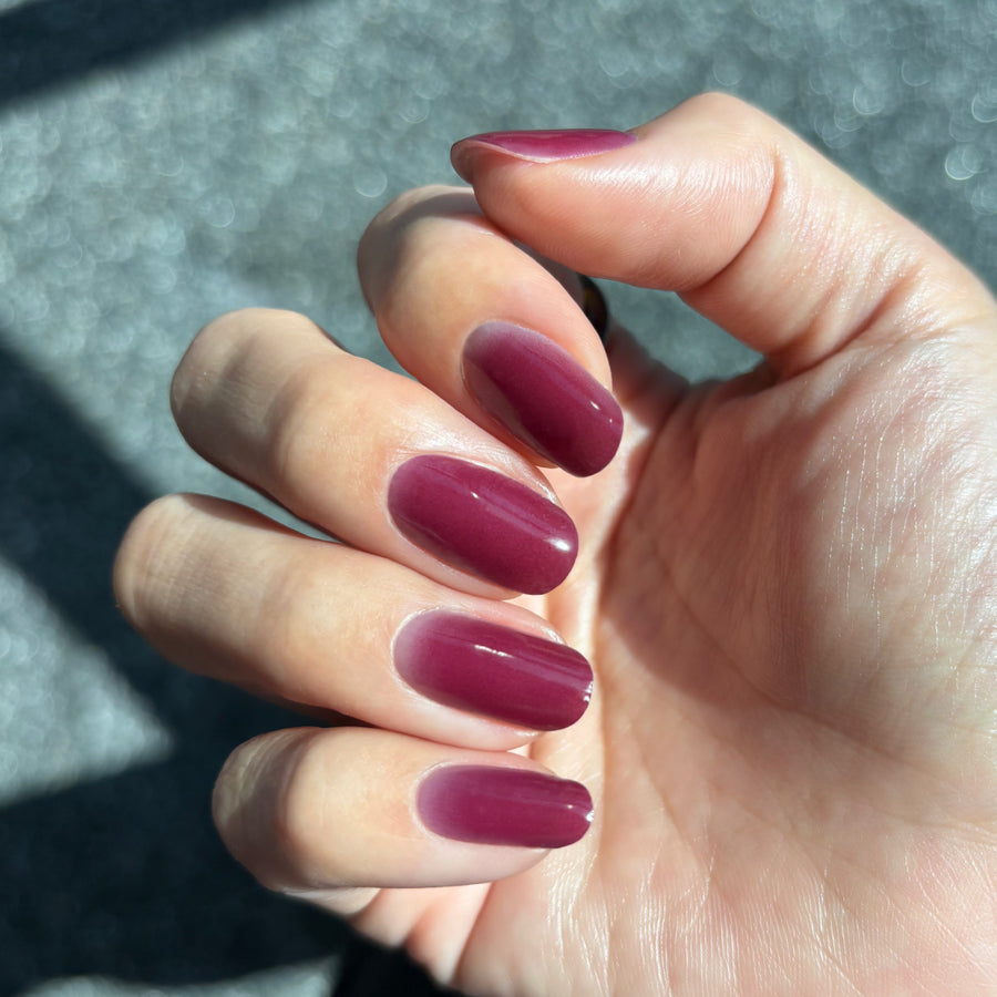 쉬어 버건디 Sheer burgundy